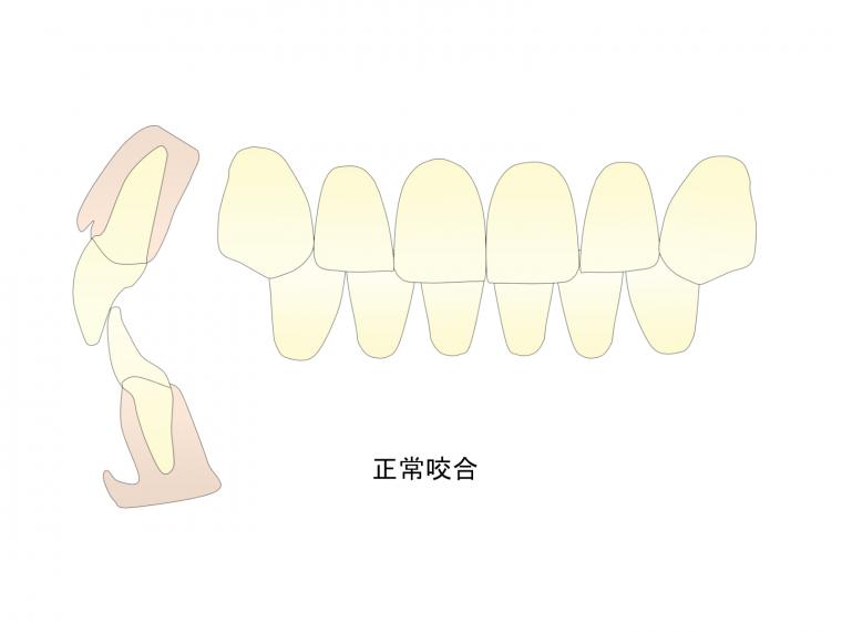 下顎の骨とこどもの反対咬合について