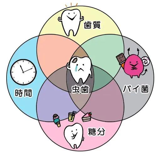 虫歯がどのようにできるか知っていますか？