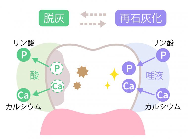 ハイドロキシアパタイトってなに？後編