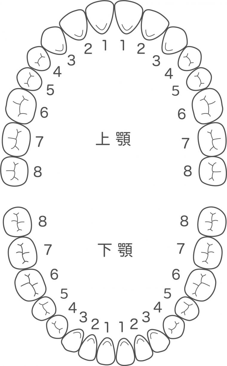 実はよくある先天性欠如について