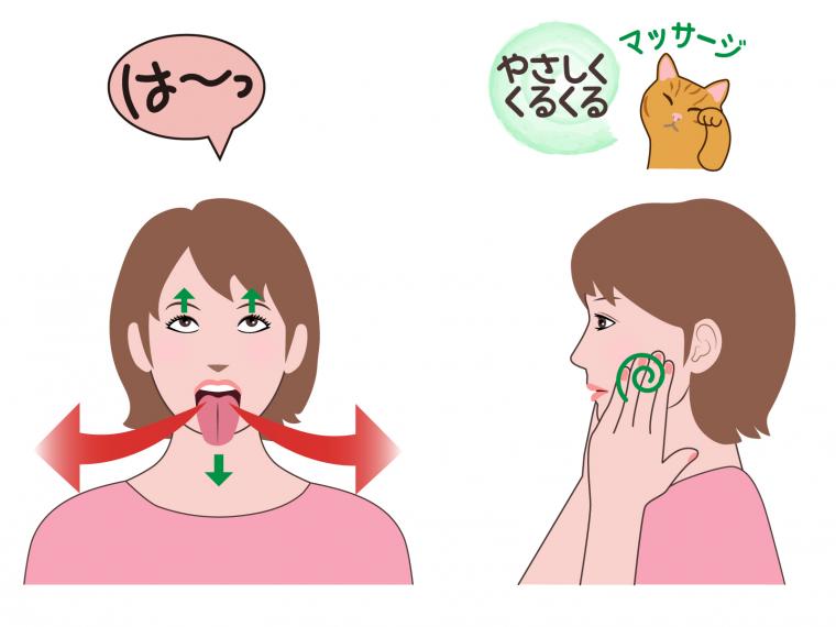 意外と知らない「顎の筋肉」のコリ～小顔と健康を手に入れるマッサージ習慣