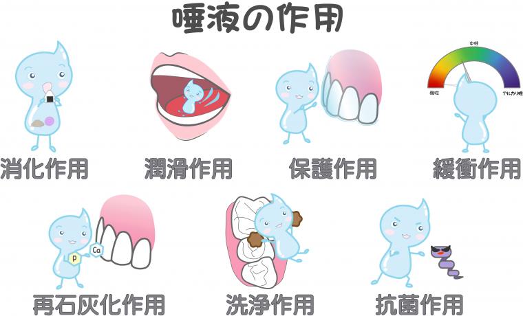 唾液の働きとは？むし歯・歯周病・口臭を防ぐ7つの力｜仙台市若林区新寺の予防歯科が解説