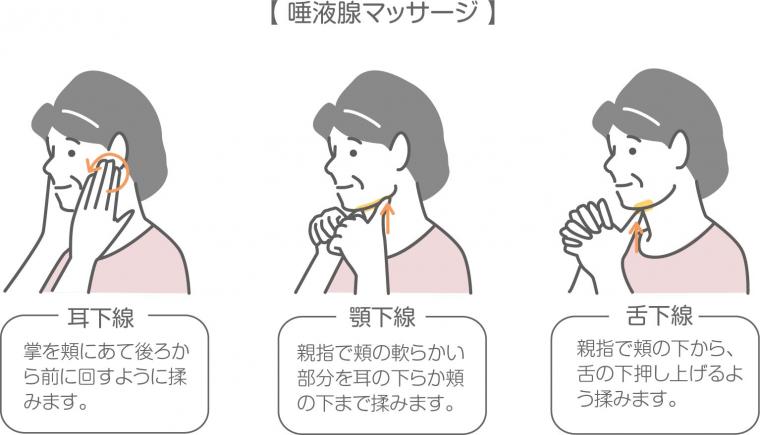 唾液の働きとは？むし歯・歯周病・口臭を防ぐ7つの力｜仙台市若林区新寺の予防歯科が解説